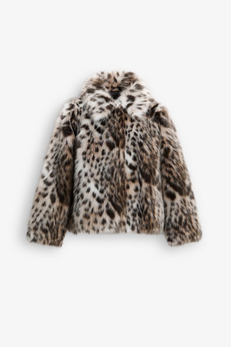 Leopar - Chaqueta Premium
