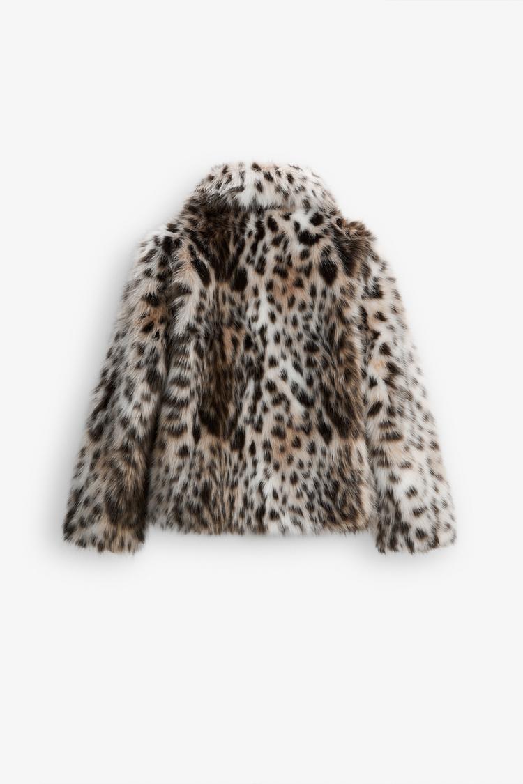 Leopar - Chaqueta Premium